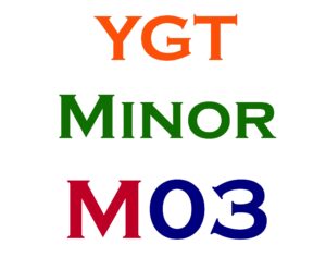 Minor Item #3