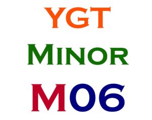 Minor Item #6