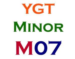 Minor Item #7