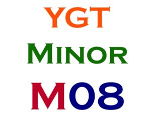Minor Item #8
