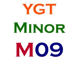 Minor Item #9