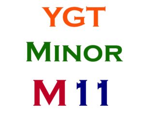 Minor Item #11