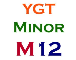 Minor Item #12
