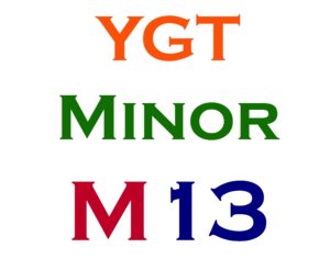 Minor Item #13