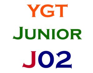 Junior Item #2