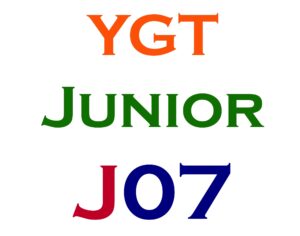 Junior Item #7