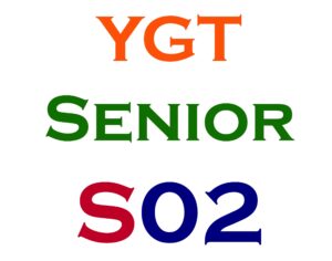 Senior Item #2
